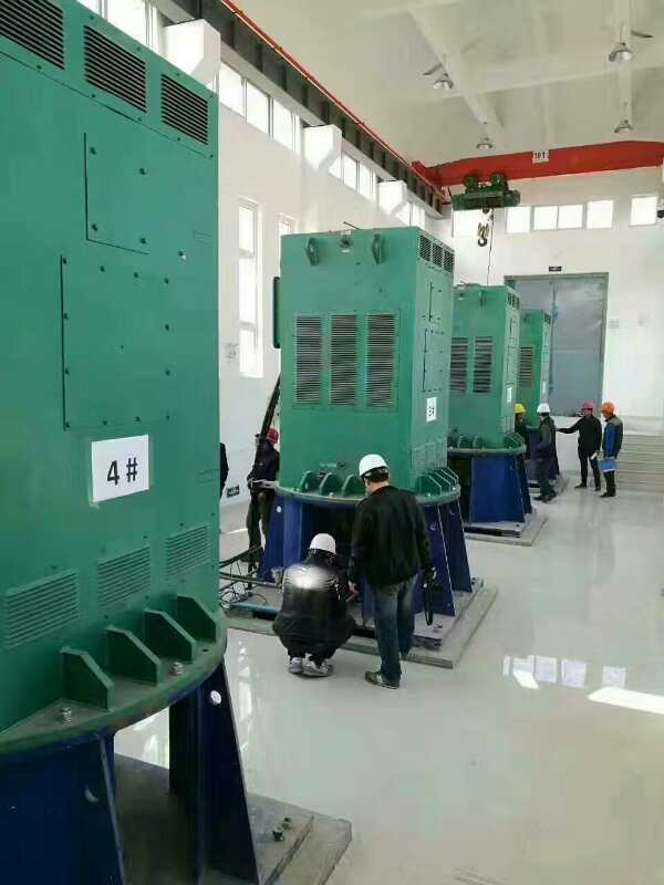 Y630-4某污水处理厂使用我厂的立式高压电机安装现场