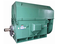 Y630-4Y系列6KV高压电机